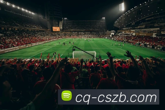 彩神争霸服务体系